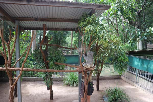 Menjajal Serunya Berbagai Petualangan Outdoor di Brisbane