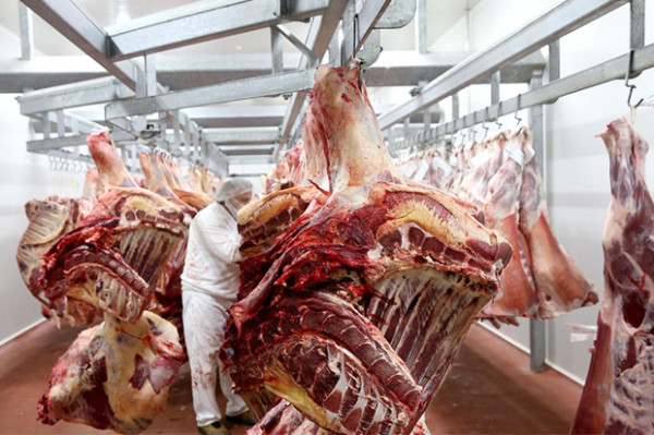 10 Negara Penyuplai Daging Halal Terbesar di Dunia