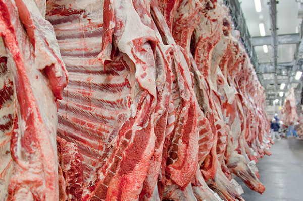 10 Negara Penyuplai Daging Halal Terbesar di Dunia