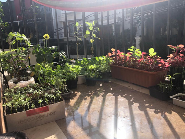 Mahasiswa Mencoba Berkebun, Supaya Hemat dan Dapat Uang