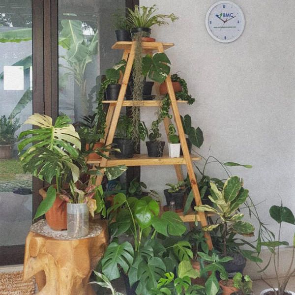 Mahasiswa Mencoba Berkebun, Supaya Hemat dan Dapat Uang