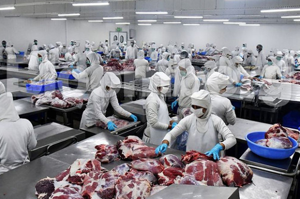 10 Negara Penyuplai Daging Halal Terbesar di Dunia