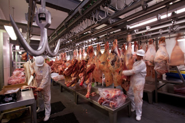 10 Negara Penyuplai Daging Halal Terbesar di Dunia