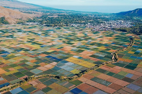 Kangen Mudik? Pemandangan Sawah Terindah Ini Bisa Menjadi Pengobat Rindu