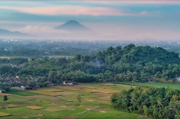 Kangen Mudik? Pemandangan Sawah Terindah Ini Bisa Menjadi Pengobat Rindu