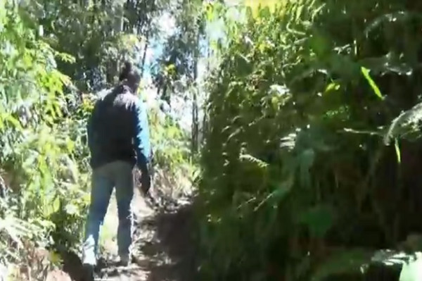 Kisah Mahasiswa di Pedalaman yang Naik Gunung demi Cari Jaringan Internet untuk Kuliah Online
