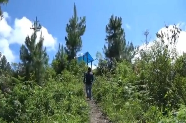 Kisah Mahasiswa di Pedalaman yang Naik Gunung demi Cari Jaringan Internet untuk Kuliah Online