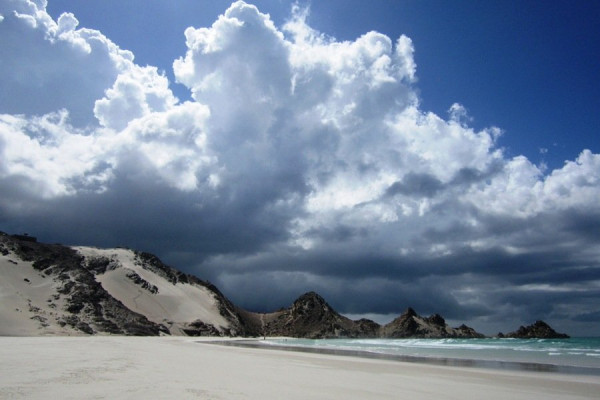 Pulau Socotra: Pulau Kecil dengan Sensasi Berada di Planet Alien