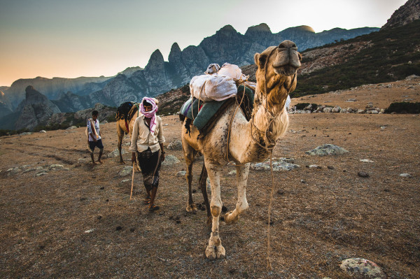 Pulau Socotra: Pulau Kecil dengan Sensasi Berada di Planet Alien