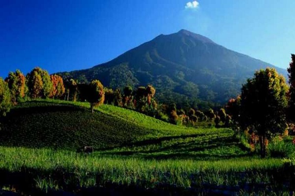 Menjelajahi Situs Warisan Dunia Yang Ada di Indonesia