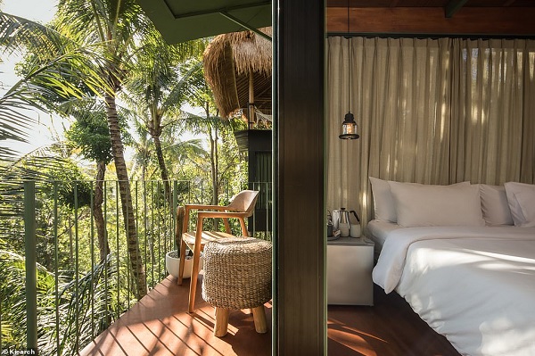 Hotel di Atas Pohon yang Eksotis Ini Ada di Ubud Bali