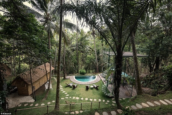 Hotel di Atas Pohon yang Eksotis Ini Ada di Ubud Bali