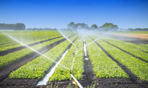 Inspirasi Teknologi Agraria untuk Petani Muda Indonesia