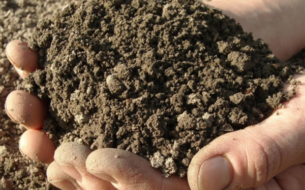 Inspirasi Teknologi Agraria untuk Petani Muda Indonesia