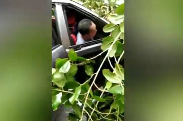 Mobil Tertimpa Pohon, Bocah 5 Tahun Anak Anggota DPRD Tewas Terjepit