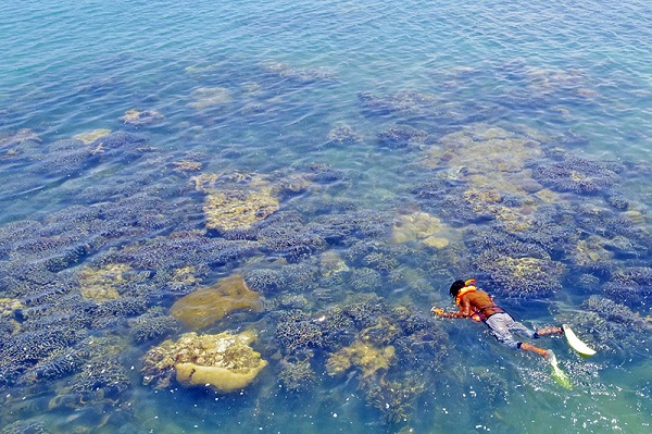 Wisata Sehat ke Giliyang Sumenep, Pulau Berkualitas Oksigen Terbaik Dunia