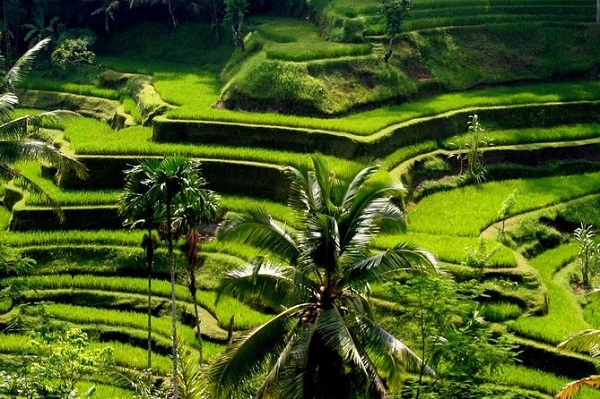 Berikut Tujuh Destinasi Wisata Domestik Paling Diinginkan Usai Pandemi