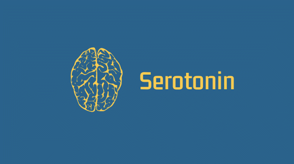 Bedanya Dopamin dan Serotonin, Dua Hormon yang Memengaruhi Kebahagiaan Kita