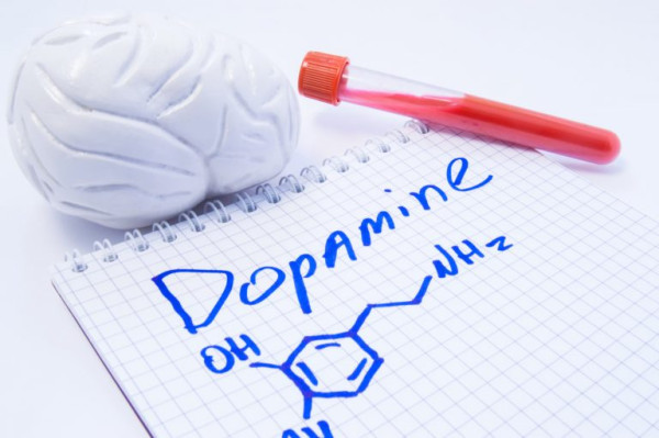 Bedanya Dopamin dan Serotonin, Dua Hormon yang Memengaruhi Kebahagiaan Kita