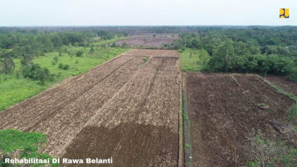 Kembangkan Food Estate, PUPR Optimalisasi Produksi 165.000 Hektare di Kalteng