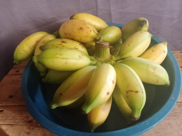 Tanpa Rasa Asam, Buah-Buahan Ini Kaya Vitamin C