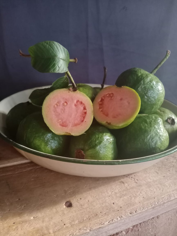 Tanpa Rasa Asam, Buah-Buahan Ini Kaya Vitamin C