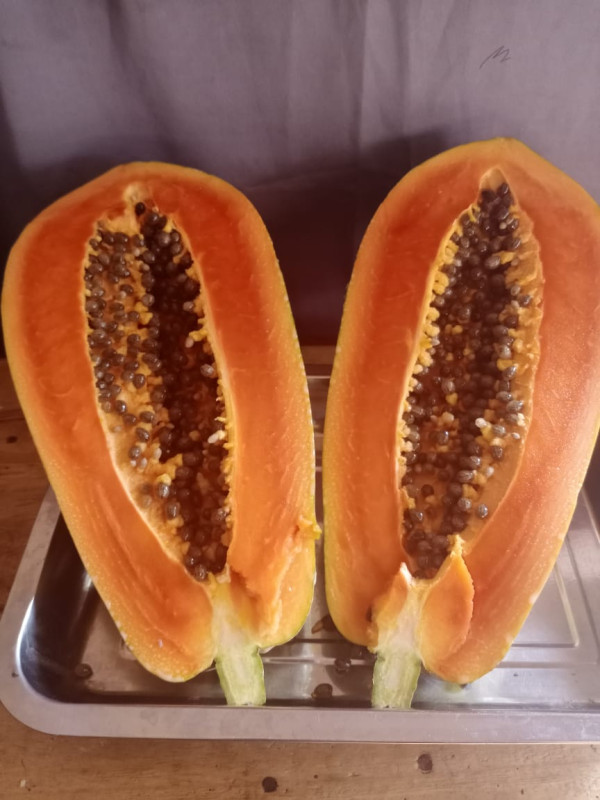 Tanpa Rasa Asam, Buah-Buahan Ini Kaya Vitamin C