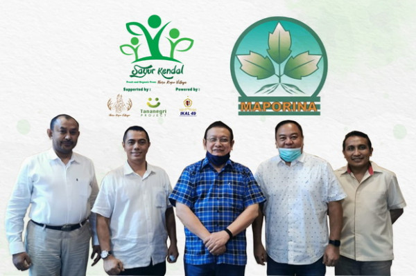 Sayur Kendal dan MAPORINA Kembangkan Bibit Sayur Unggulan