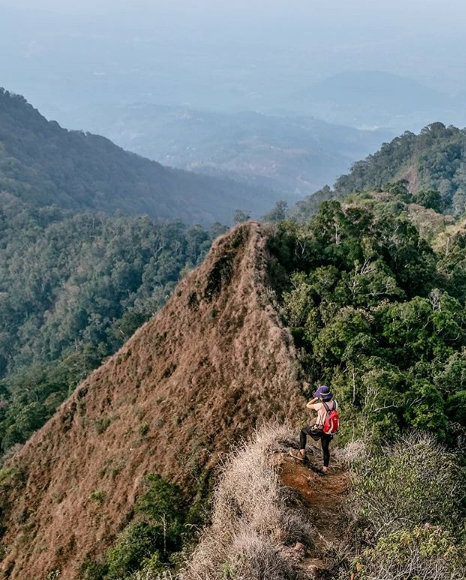 5 Rekomendasi Gunung yang Cocok untuk Pendaki Pemula
