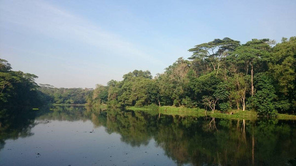 Hutan Kota di Jabodetabek yang Bagus Buat Jadi Spot Foto