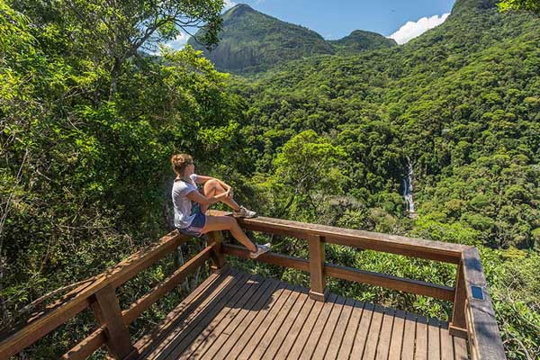 5 Hutan kota Paling Keren di Dunia, dari Singapura sampai Kenya