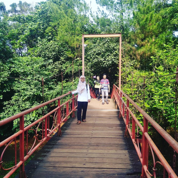 Hutan Kota di Jabodetabek yang Bagus Buat Jadi Spot Foto