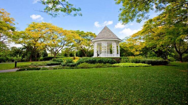 5 Hutan kota Paling Keren di Dunia, dari Singapura sampai Kenya