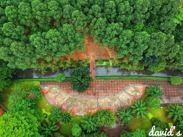Inilah 5 Hutan Kota Terfavorit Warga Jabodetabek