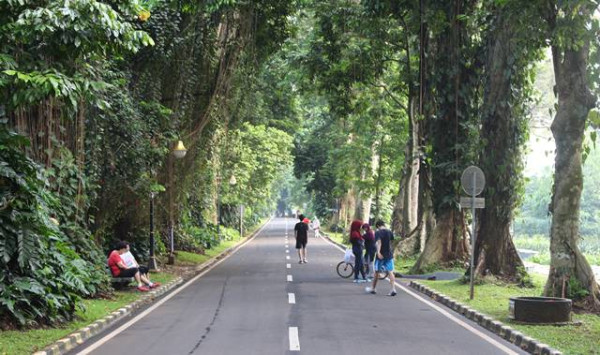Mau Sepedaan? Ini Rekomendasi Hutan Kota yang Asyik Buat Gowes