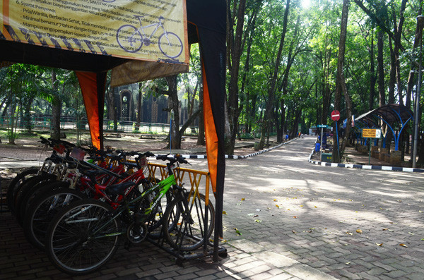 Mau Sepedaan? Ini Rekomendasi Hutan Kota yang Asyik Buat Gowes