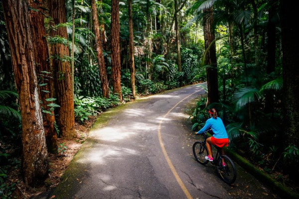 Inilah 5 Hutan Kota Terfavorit Warga Jabodetabek