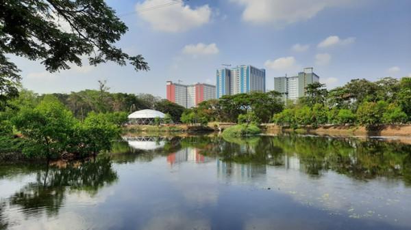 Mau Sepedaan? Ini Rekomendasi Hutan Kota yang Asyik Buat Gowes