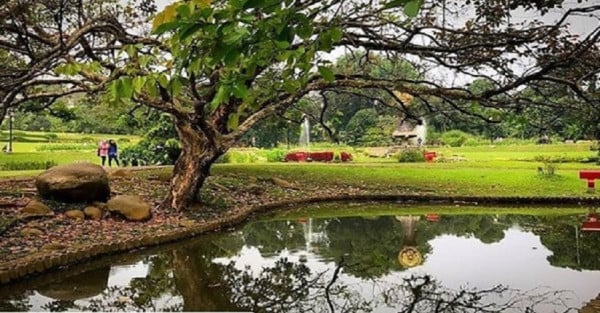 Inilah 5 Hutan Kota Terfavorit Warga Jabodetabek