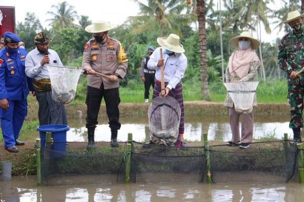 Kapolri Panen di KTN Tangerang, Kapolda NTB Kunjungi Kampung Sehat Nunut Tatanan Baru