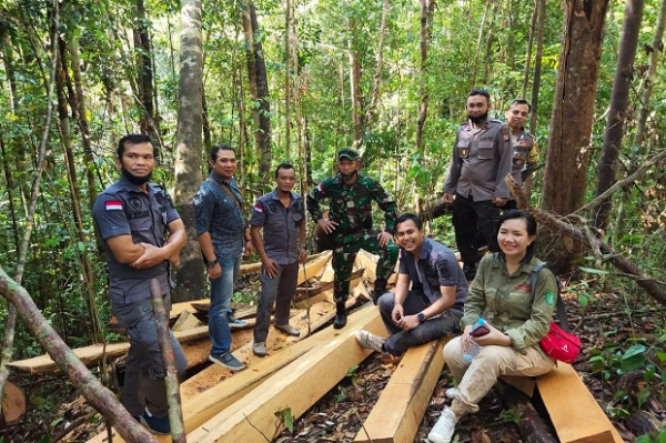 Tim Gabungan Sergap 12 Pelaku Pembalakan Liar dan Amankan Peralatannya