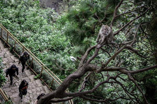 Menikmati Sensasi Wisata Curug Layung di Kesejukan Alam Bandung Utara