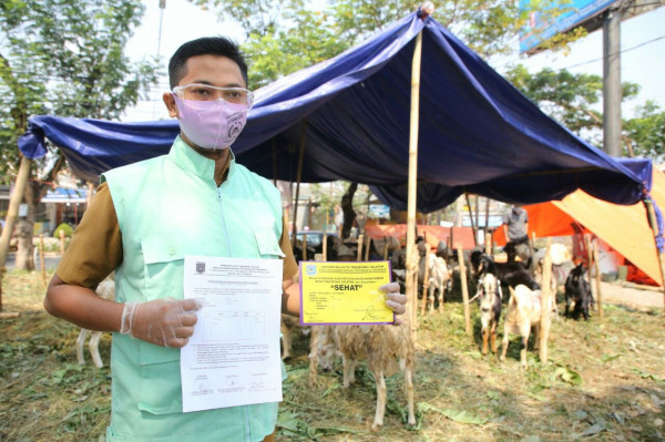Jelang Idul Adha, Pemkot Tangsel Cek Kesehatan Hewan Kurban