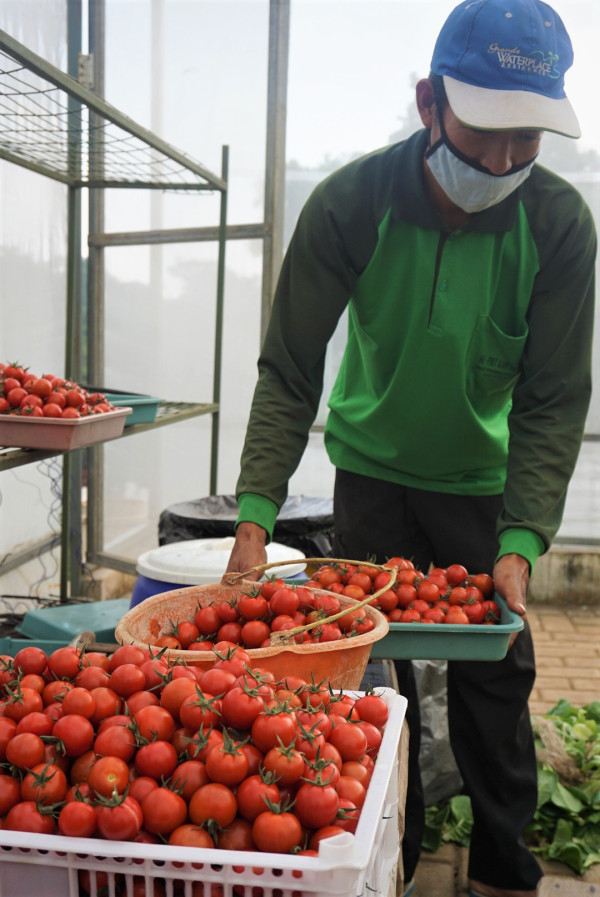 Pasuruan Always Fresh Siap Sambut Wisatawan di Era Adaptasi Kenormalan Baru