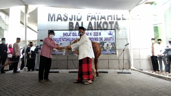 Idul Adha 1441 H, Pemprov DKI Salurkan 160 Sapi dan 279 Kambing untuk Kurban