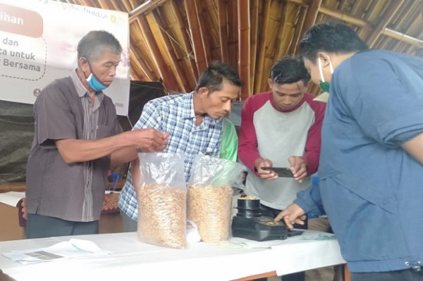 Menjaga Mutu Kopi Robusta Sridonoretno Agar Bersaing di Pasaran