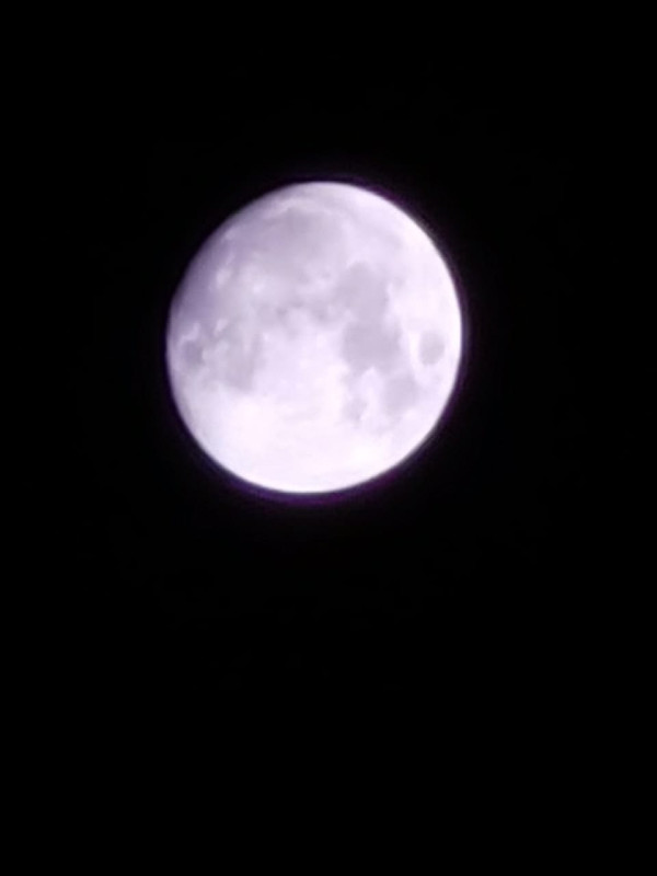 Bisa Enggak Kamera Note20 Ultra Punya Foto Kayak Gini Ya...
