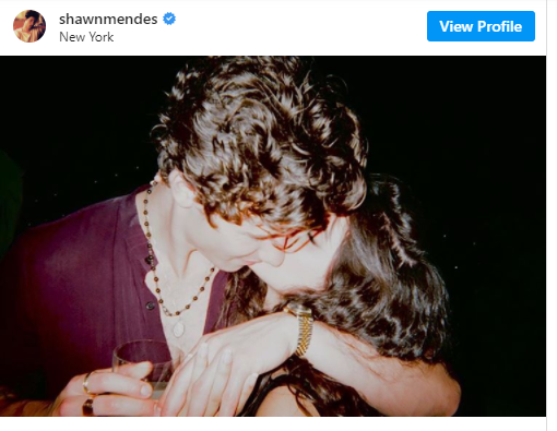Bukti-Bukti dari Penggemar bahwa Camila Cabello dan Shawn Mendes Gak Putus!