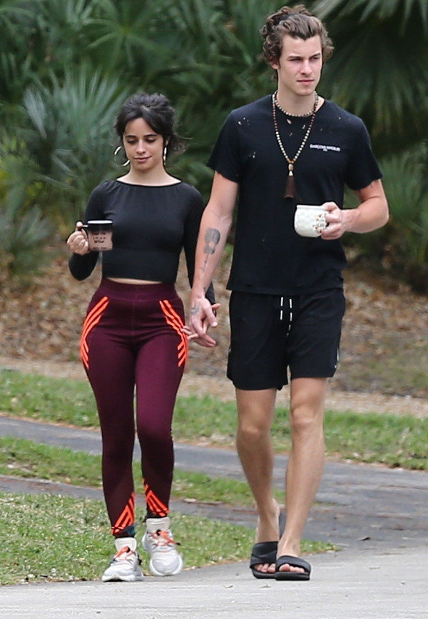 Bukti-Bukti dari Penggemar bahwa Camila Cabello dan Shawn Mendes Gak Putus!