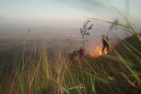 Gunung Penangungan Terbakar, Pendakian Ditutup Sementara